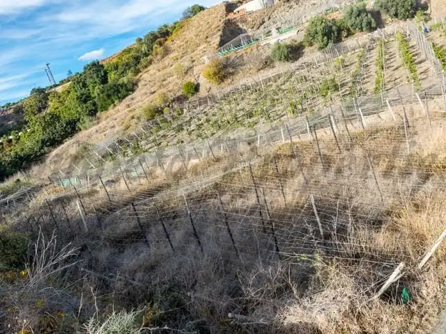 Terreni e lotti in vendita a Torrox Pueblo, imagen 3