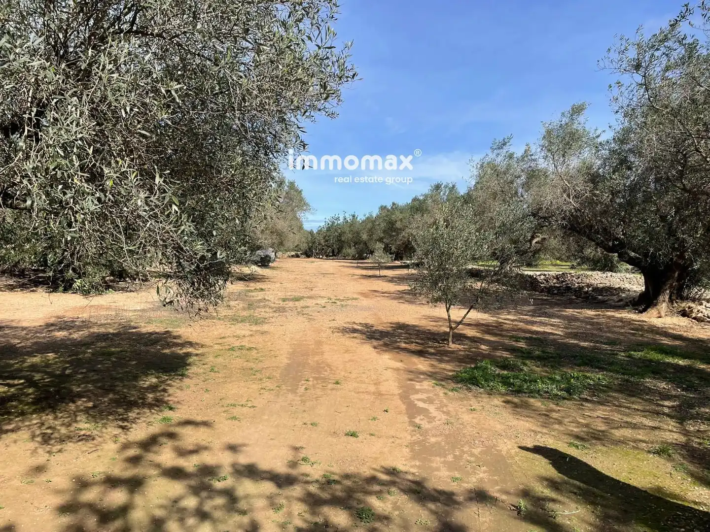 Residential land for sale in 10, imagen 21