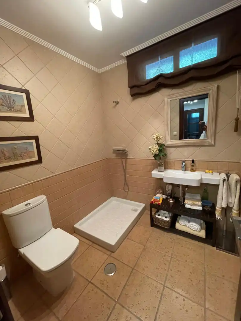 Baño de Casa o chalet en venta en Barbadás con Calefacción, Jardín privado y Terraza