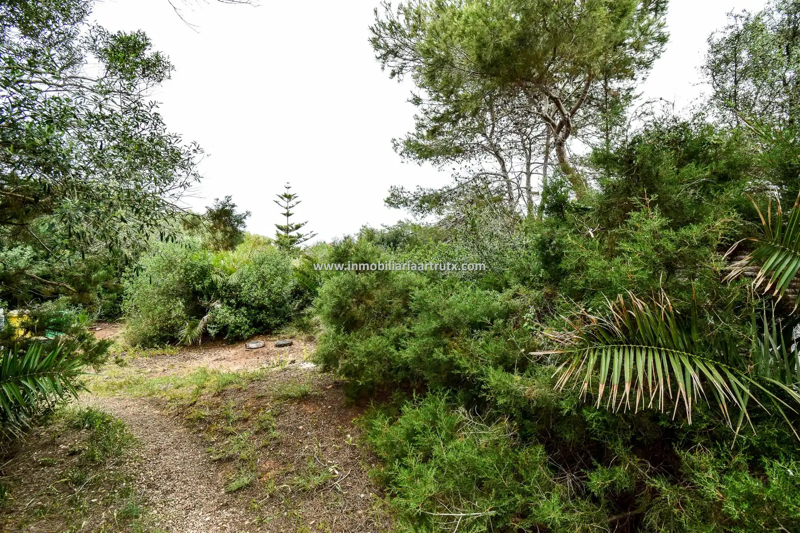 Wohnbaugrundstück zum Verkauf in Cala en Blanes, imagen 2