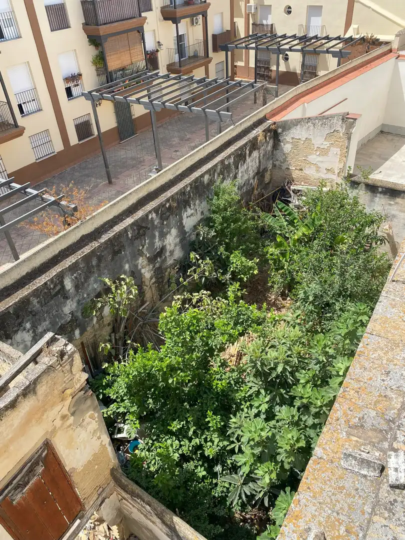 Casa o xalet en venda en Sanlúcar de Barrameda