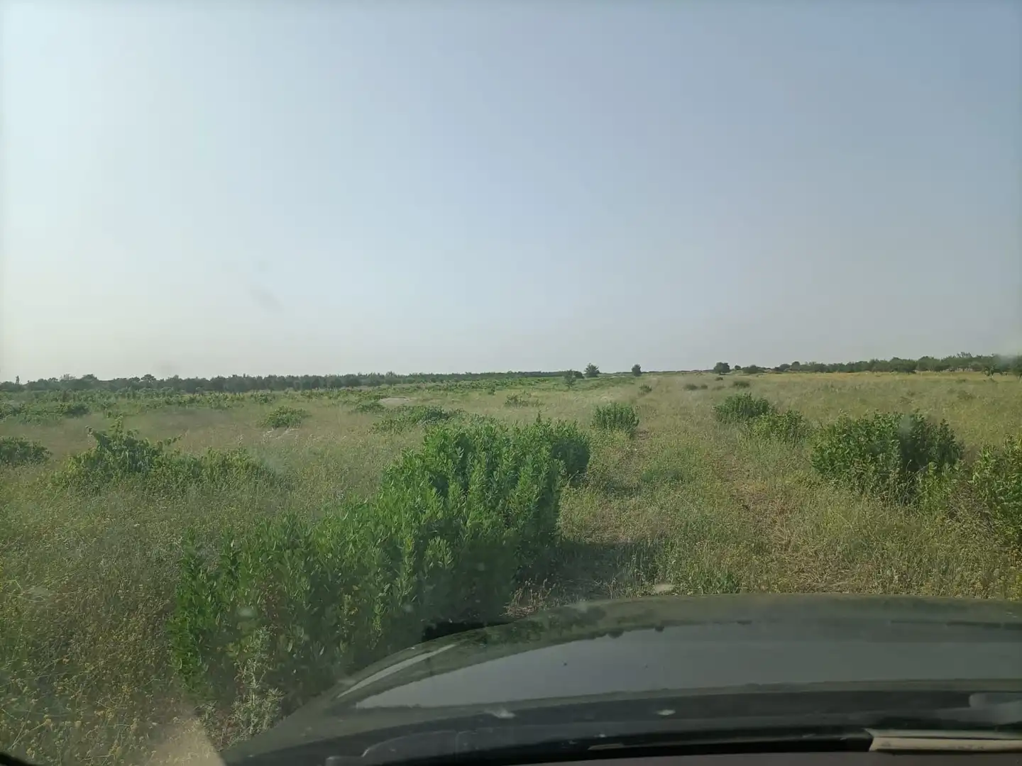 Terreni e lotti in vendita a Villaminaya, imagen 8