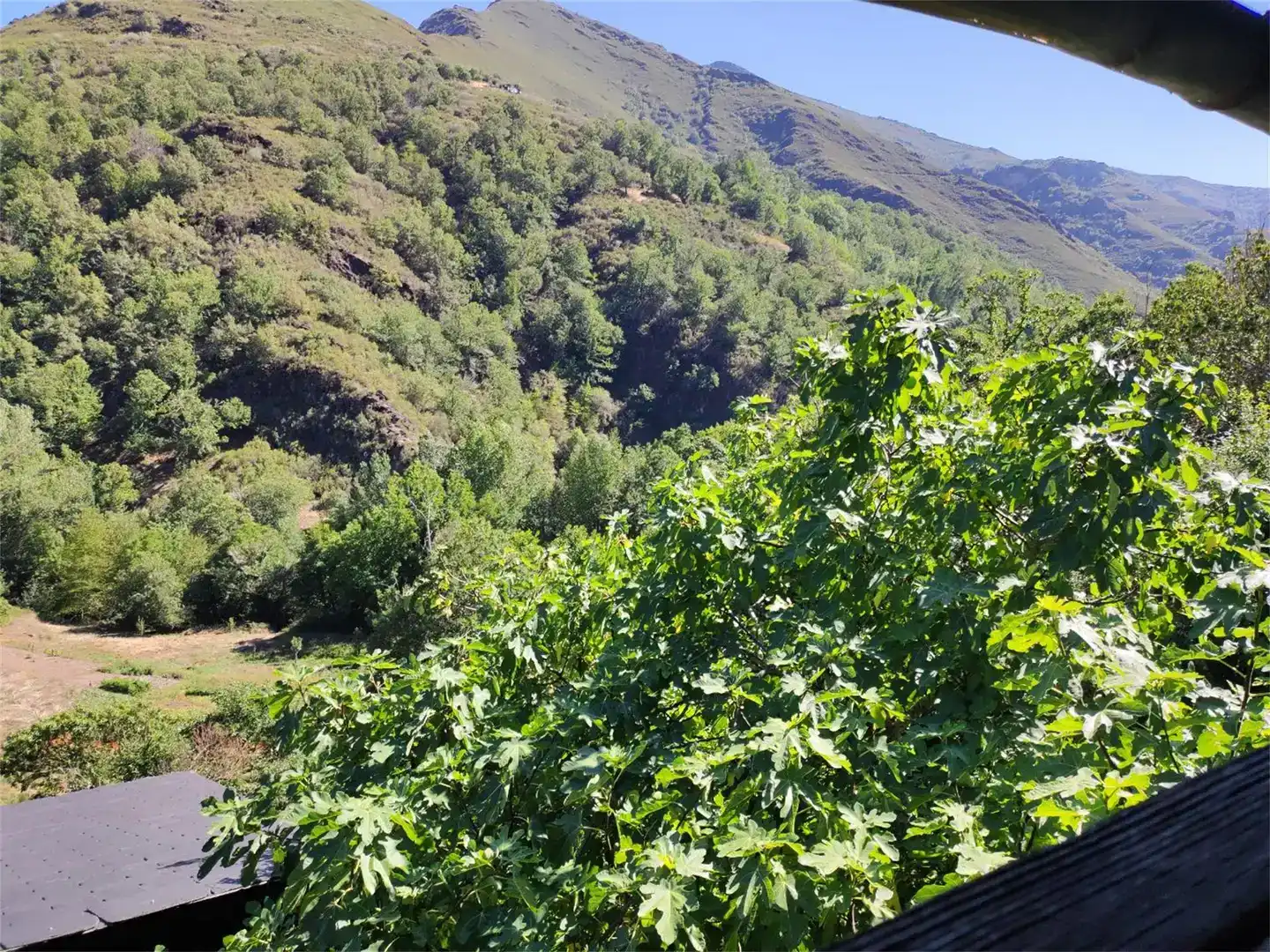Vista exterior de Finca rústica en venda en Oencia amb Balcó