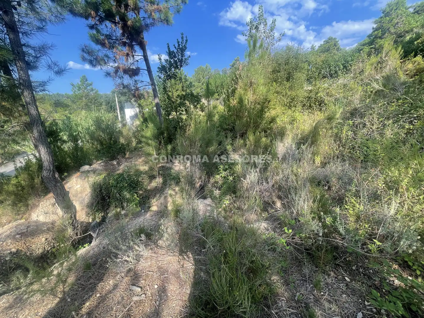 Terreno residenziale in vendita a Riudarenes, imagen 6