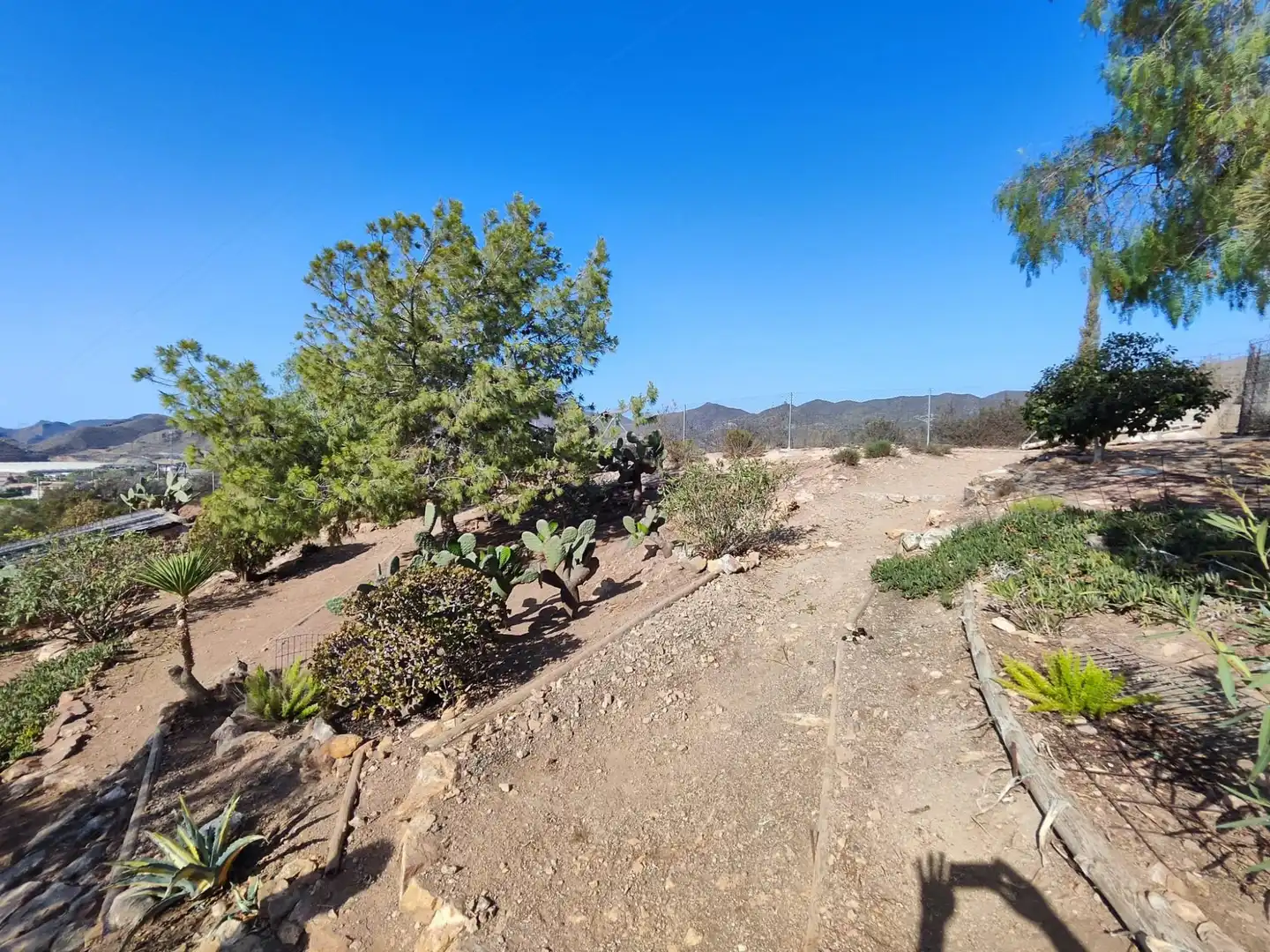 Casa rústica en venta en los arejos, imagen 21