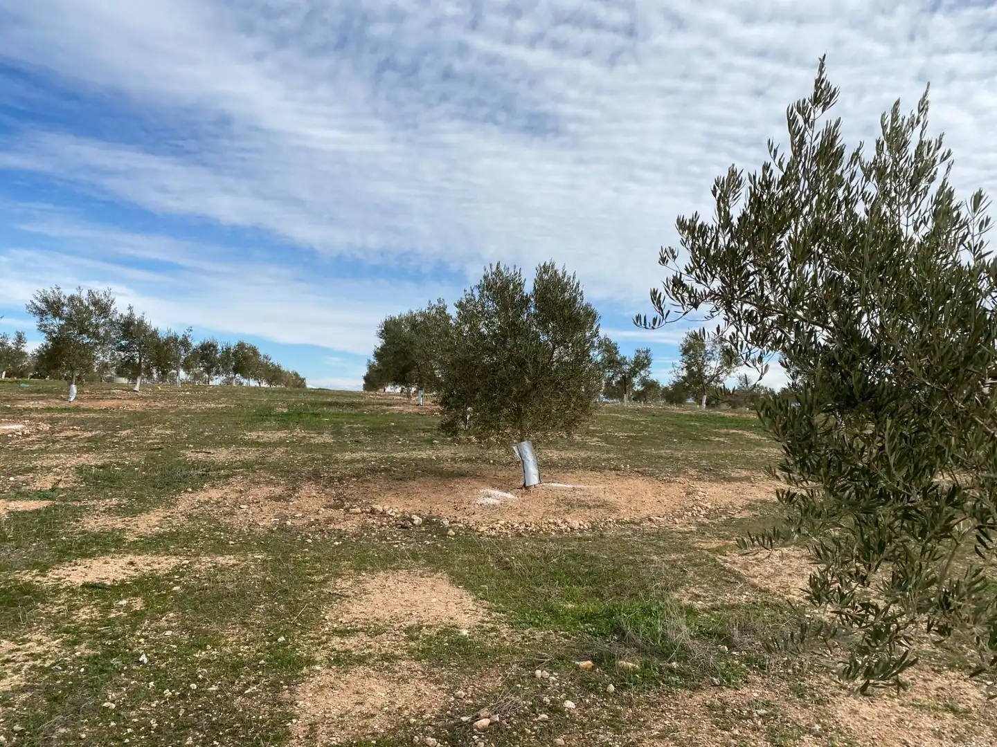 Terreno rústico en venta en Salar, imagen 10
