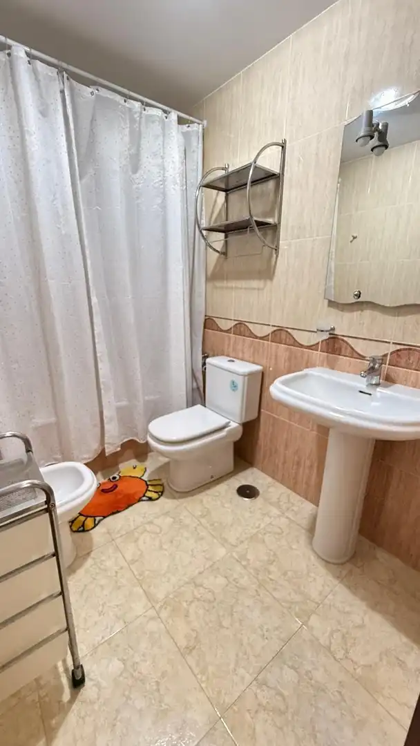 Bathroom of Flat for rent in Adra  with Air Conditioner and Furnished
