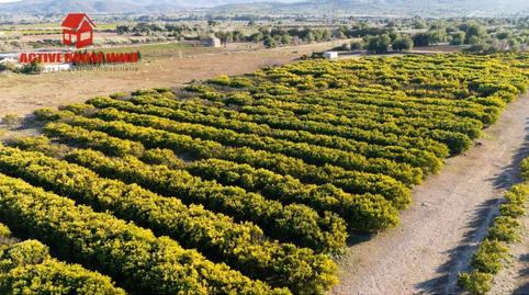 Foto 2 de Terreno en venta en Pol 12 Parc 100, Santa Bàrbara, Tarragona