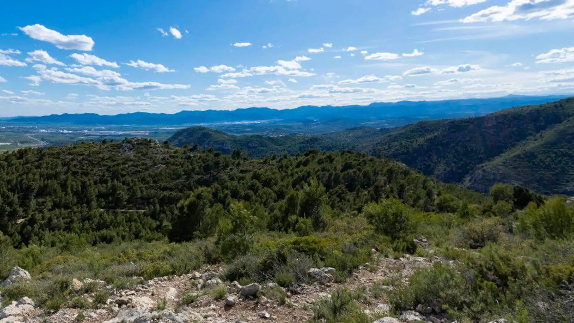 Finca rústica en venta en Borriol