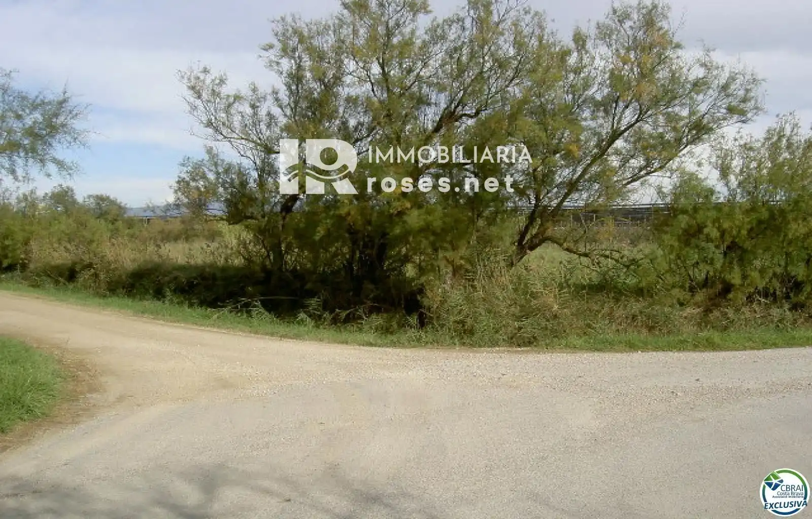 Rural land for sale in cortal vell, imagen 8