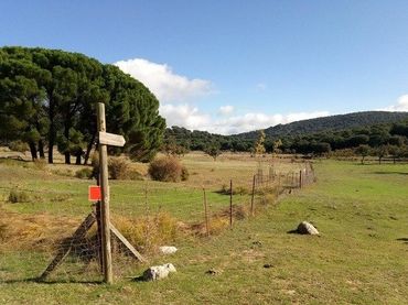 Terreny residencial en venda a Grazalema