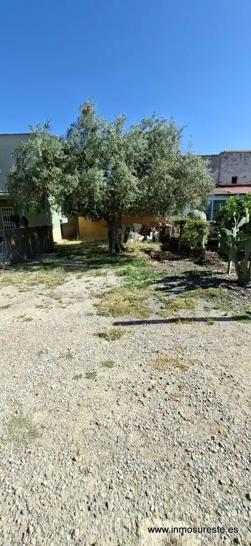 Finca rústica en venta en Orihuela