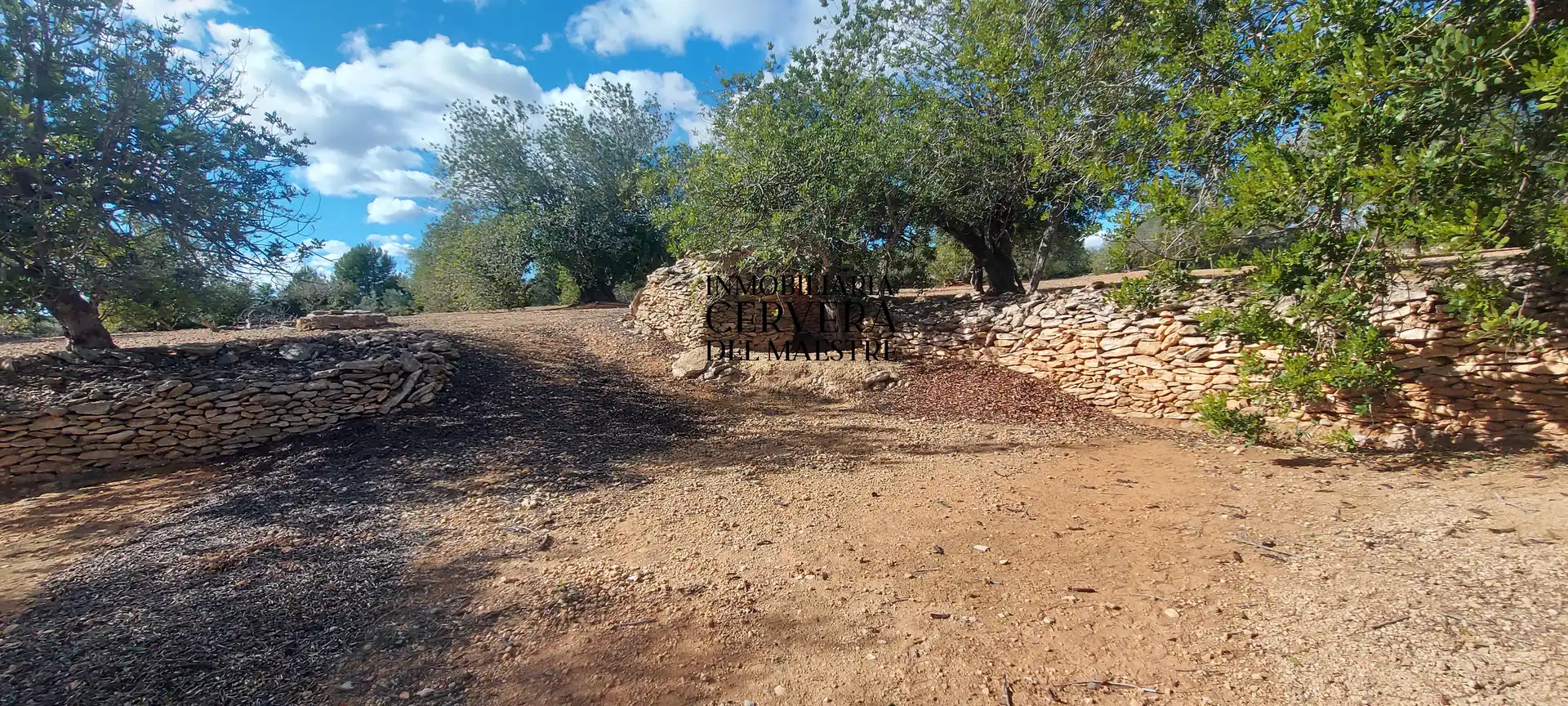 Terreno rustico in vendita a Partidas de interior - Zona Rústica, imagen 5