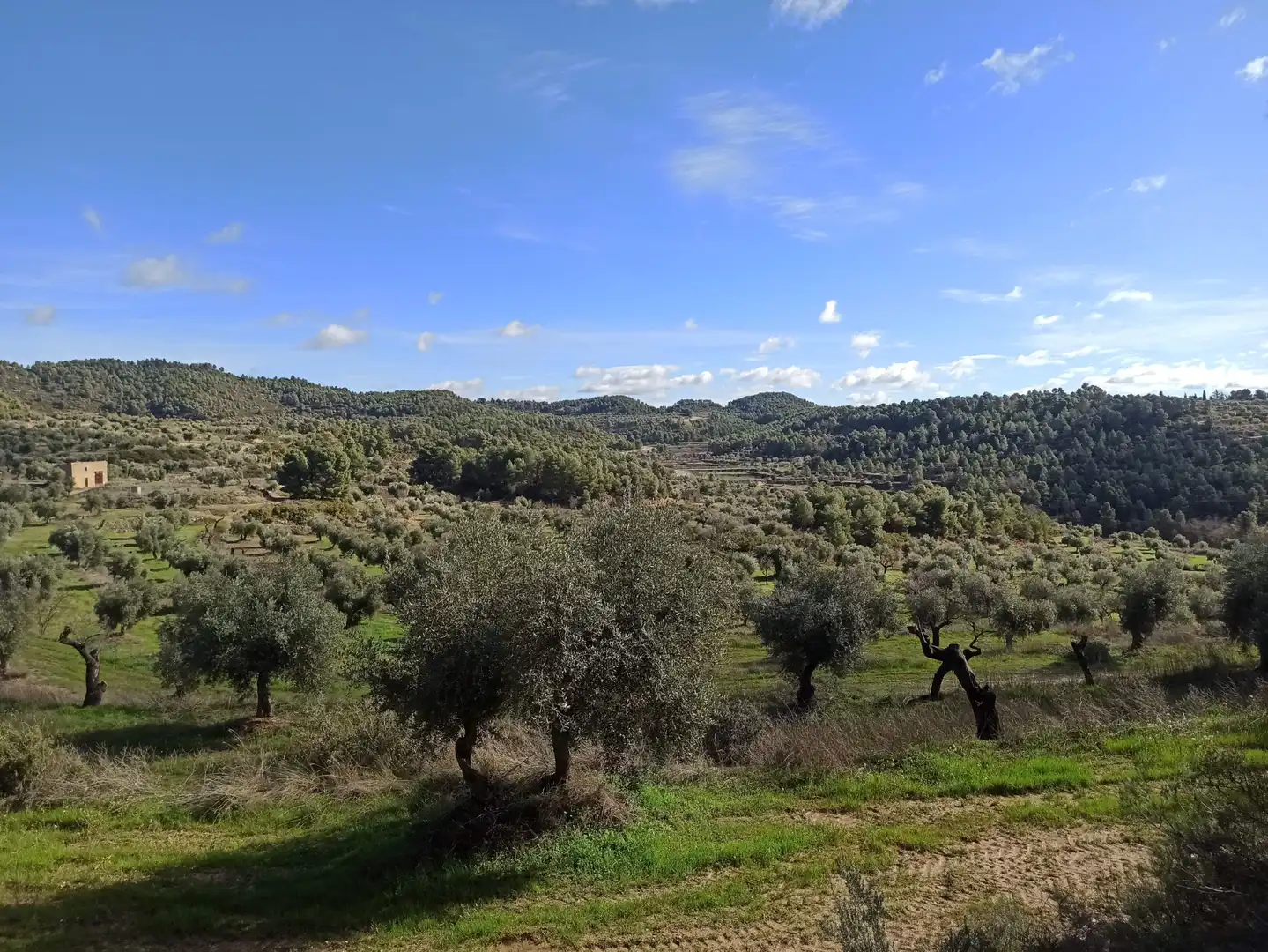 Casa o xalet en venda en Cervià de Les Garrigues amb Calefacció, Jardí privat i Parquet