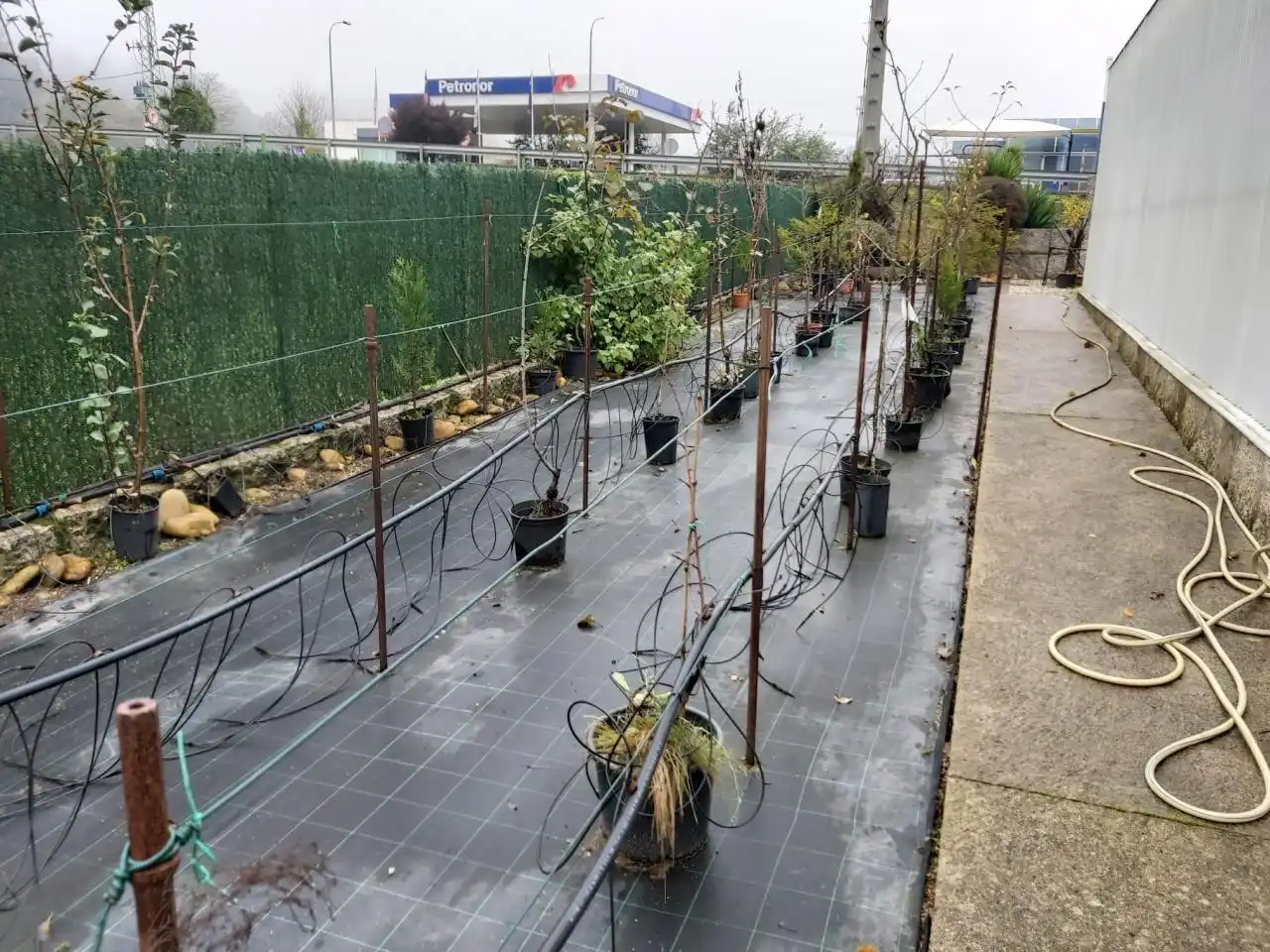 Local comercial en venta en Salceda de Caselas, imagen 11