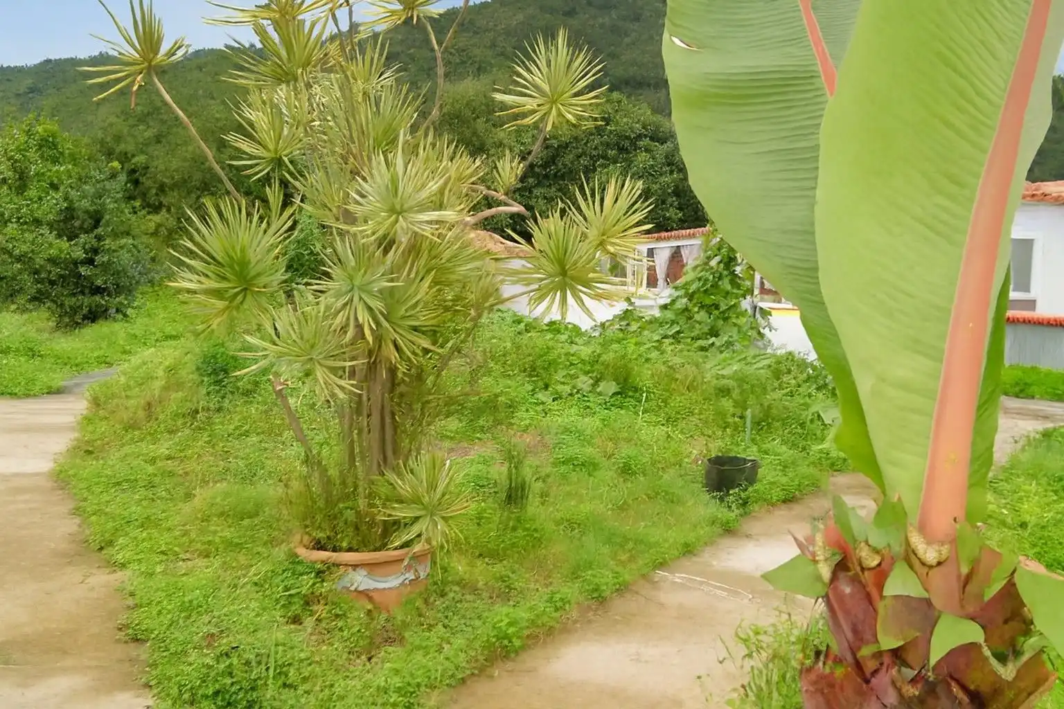 Finca rústica en venda en Breña Baja amb Jardí privat, Terrassa i Traster