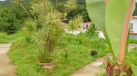 Foto 3 de Finca rústica en venda a Calle las Ledas, Breña Baja, Santa Cruz de Tenerife