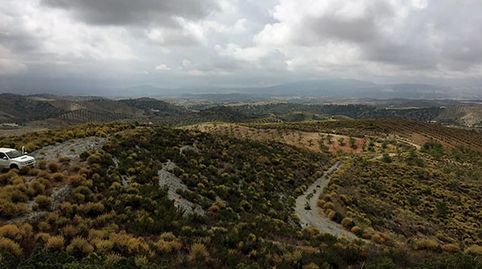 Foto 2 de Terreno en venta en Plaza Real, San Mateo, Lorca