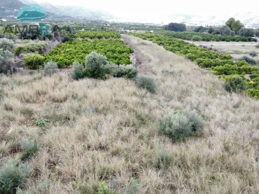 Rural land for sale in Pego, imagen 10