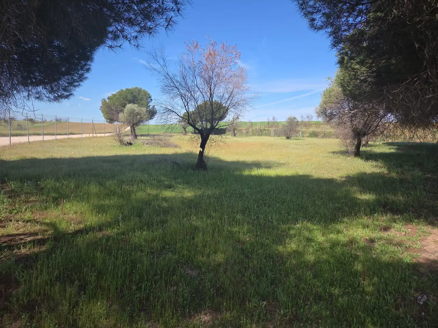 Finca rústica en venta en Navalcarnero