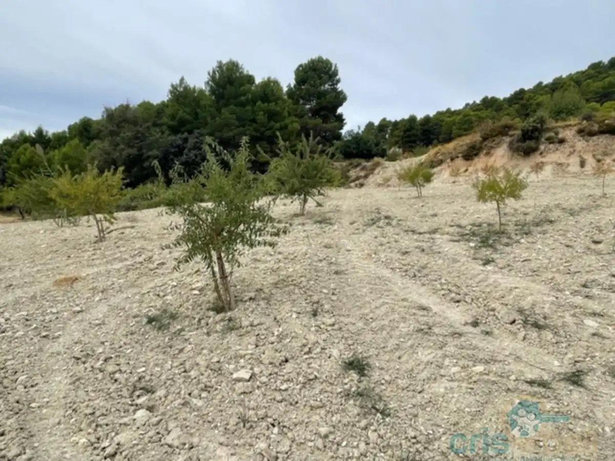Haus zum Verkauf in Zarzadilla de Totana, imagen 32