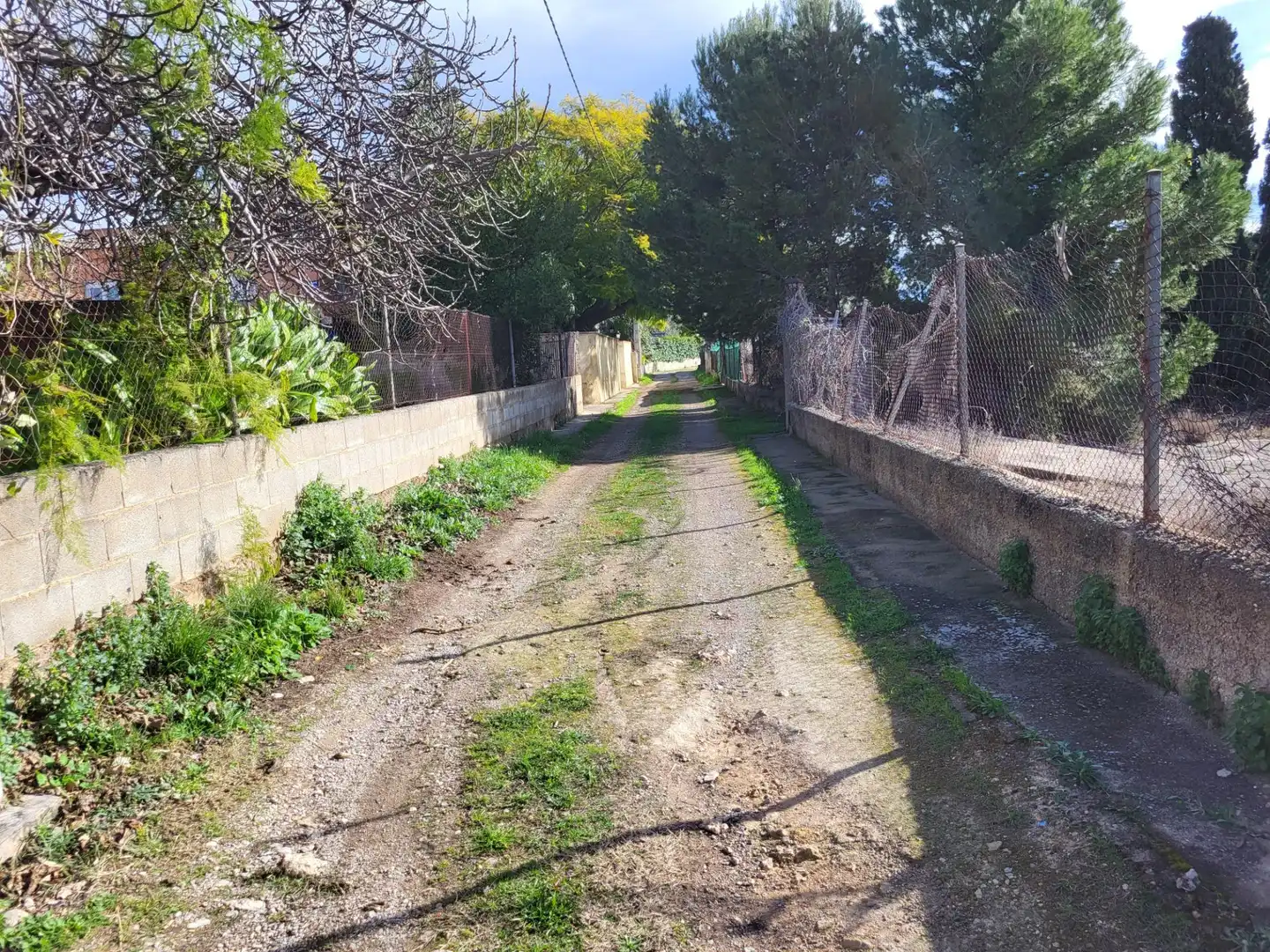 Wohnbaugrundstück zum Verkauf in Calle CARRER ROSES, imagen 10