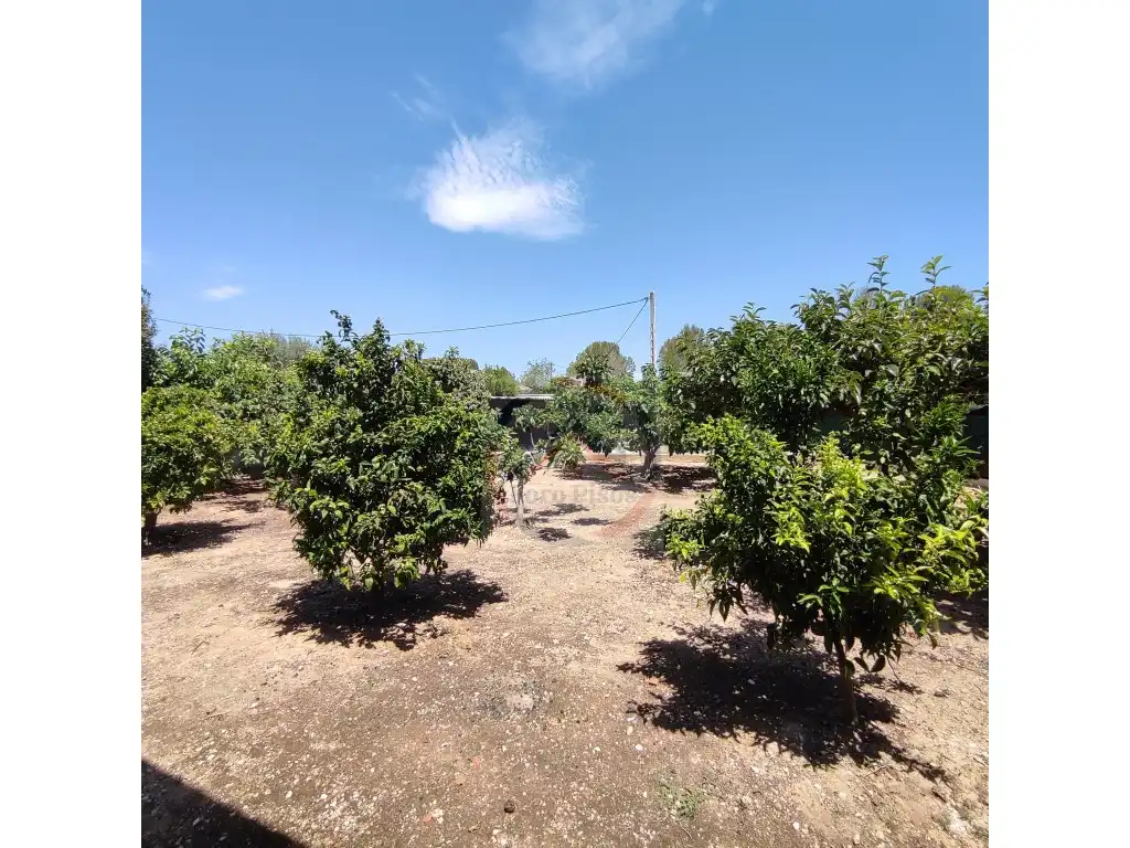 Casa o chalet en venta en Calle Ermita, Bellús