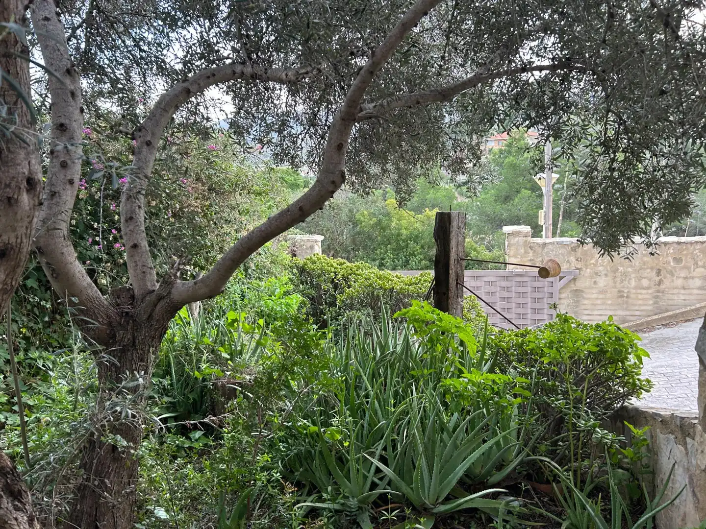 Jardín de Casa o chalet en venta en Chiva con Calefacción, Jardín privado y Terraza