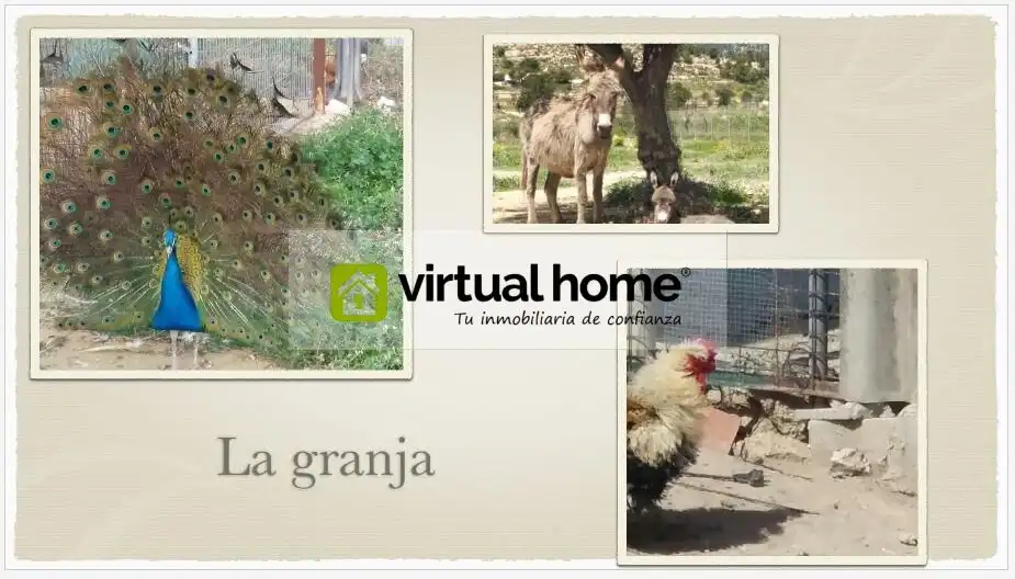 Detached house with garden for sale in Relleu, imagen 12