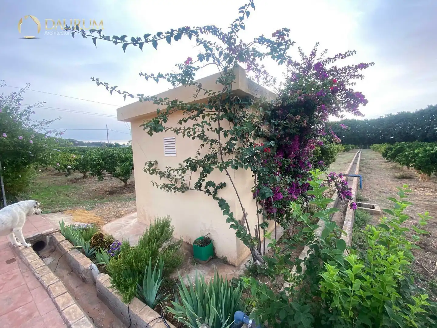 Villa con piscina in vendita a PARTIDA DE VILELLA, imagen 33