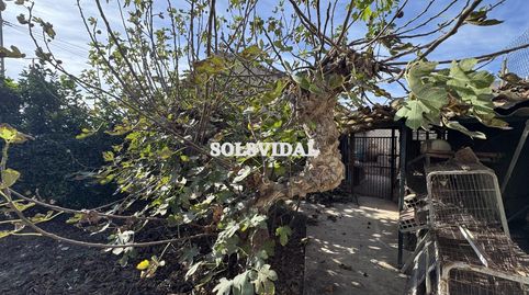 Foto 4 de Casa o xalet en venda a Orihuela ciudad, Orihuela