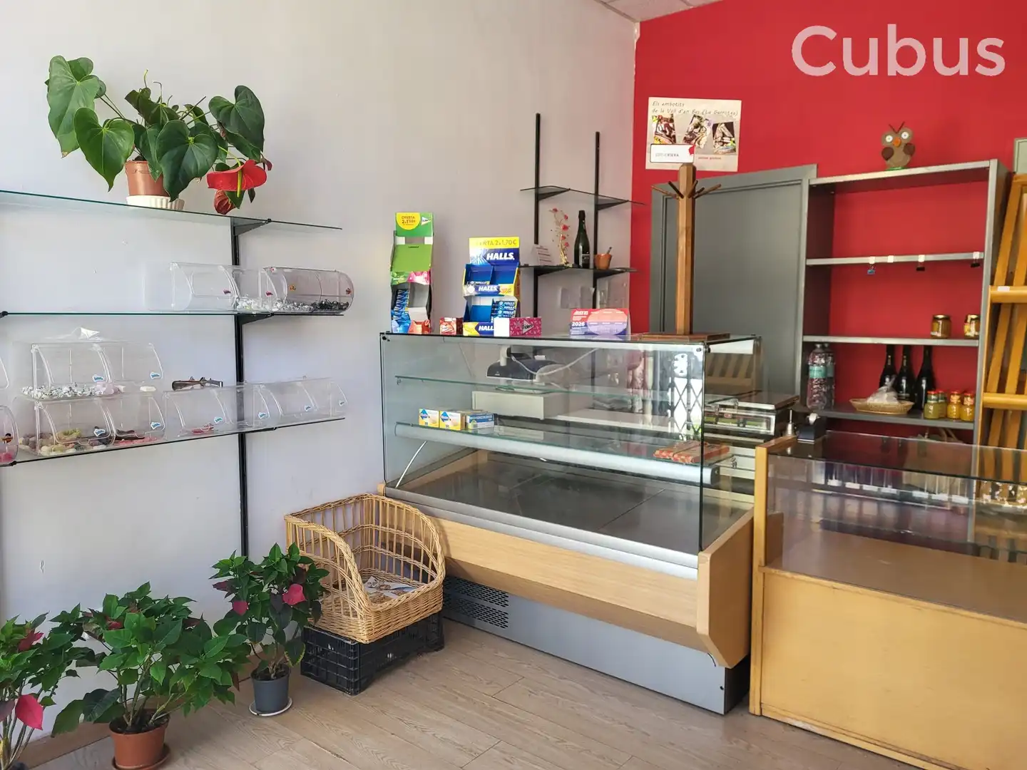 Local de lloguer en La Vall d'en Bas