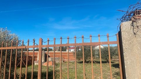 Photo 5 of Land for sale in Camino Torre, Santa Cruz del Retamar pueblo, Santa Cruz del Retamar