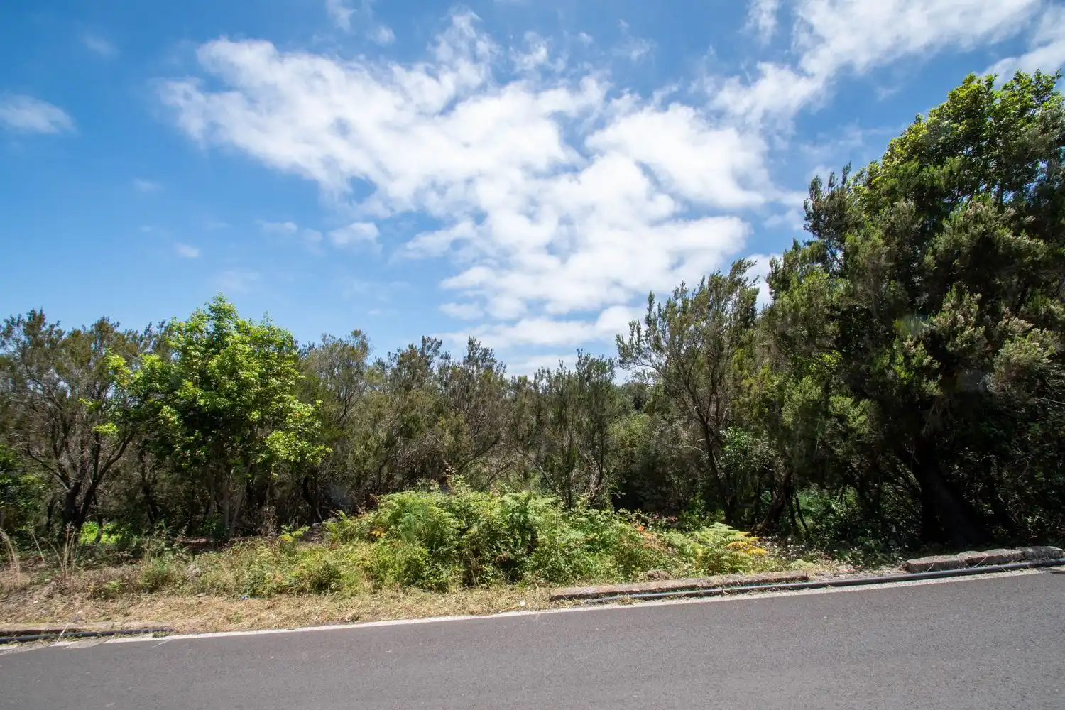Land for sale in El Tanque