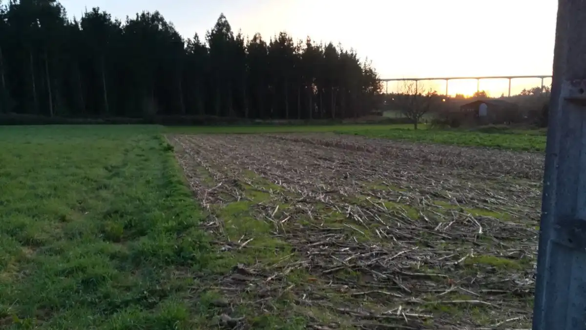 Terreni e lotti in vendita a Lugar NOENLLE, imagen 18
