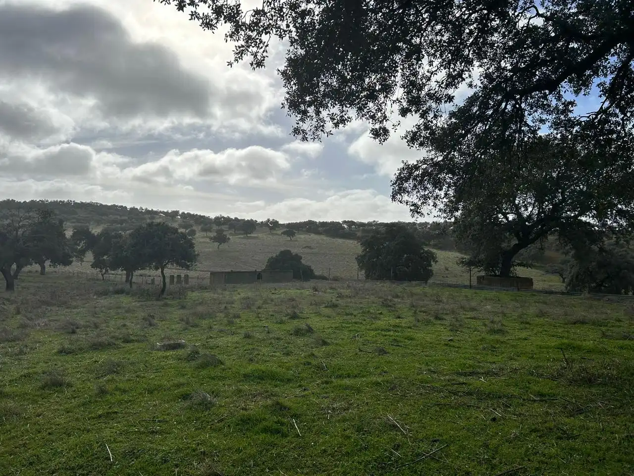 Lands and plots for sale in *, imagen 12