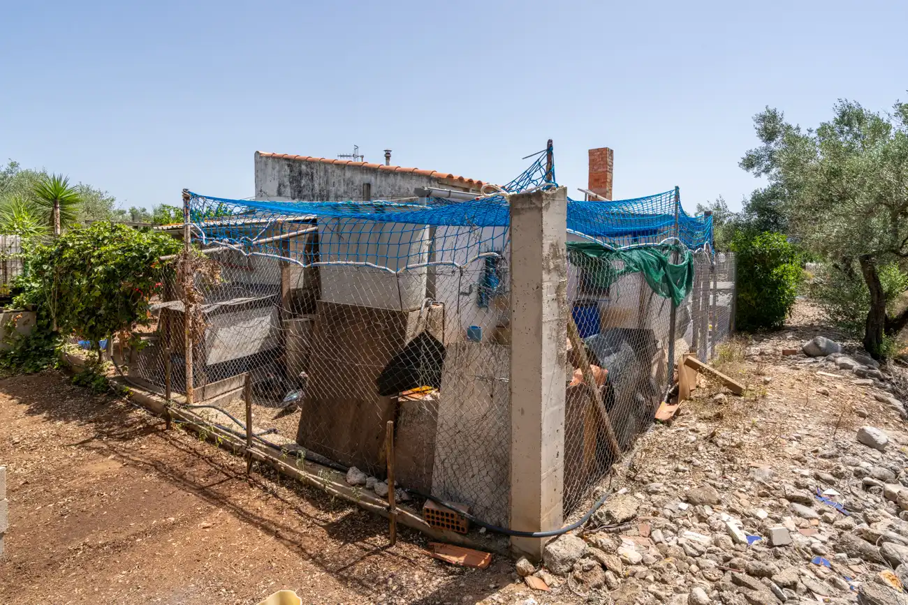 Terreny rústic en venda a Camí Miliana 1, imagen 20