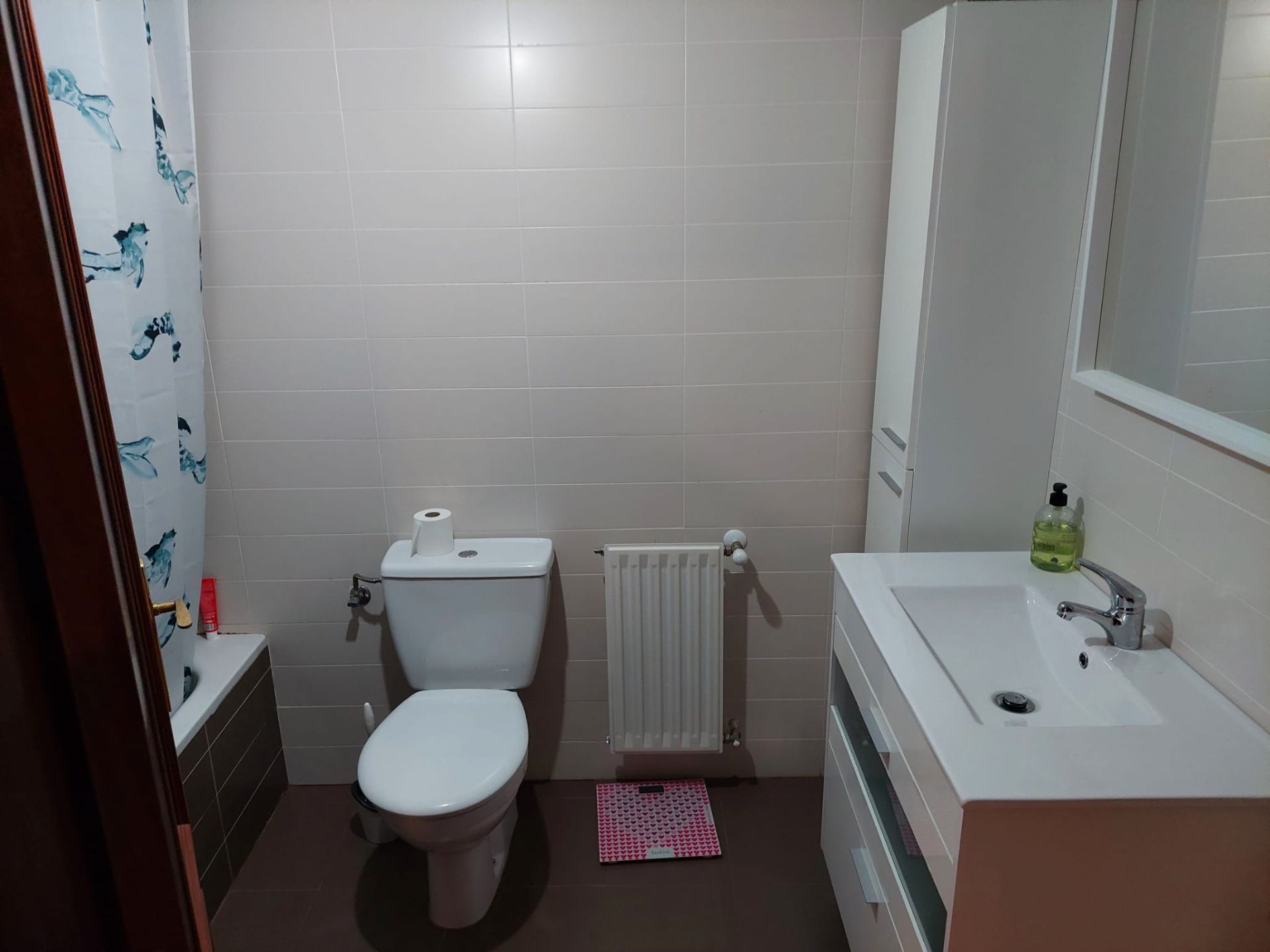 Bany de Pis en venda en Urkabustaiz amb Calefacció, Parquet i Terrassa