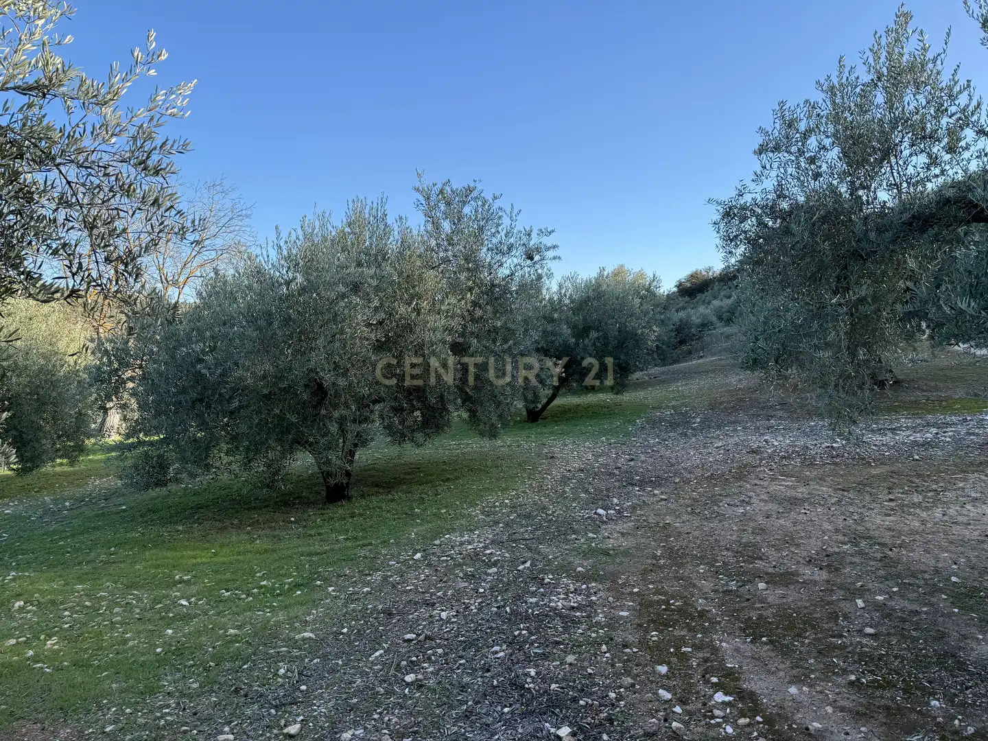 Rustikales Grundstück zum Verkauf in 8536+FQ Algarra sales, Spain, imagen 6