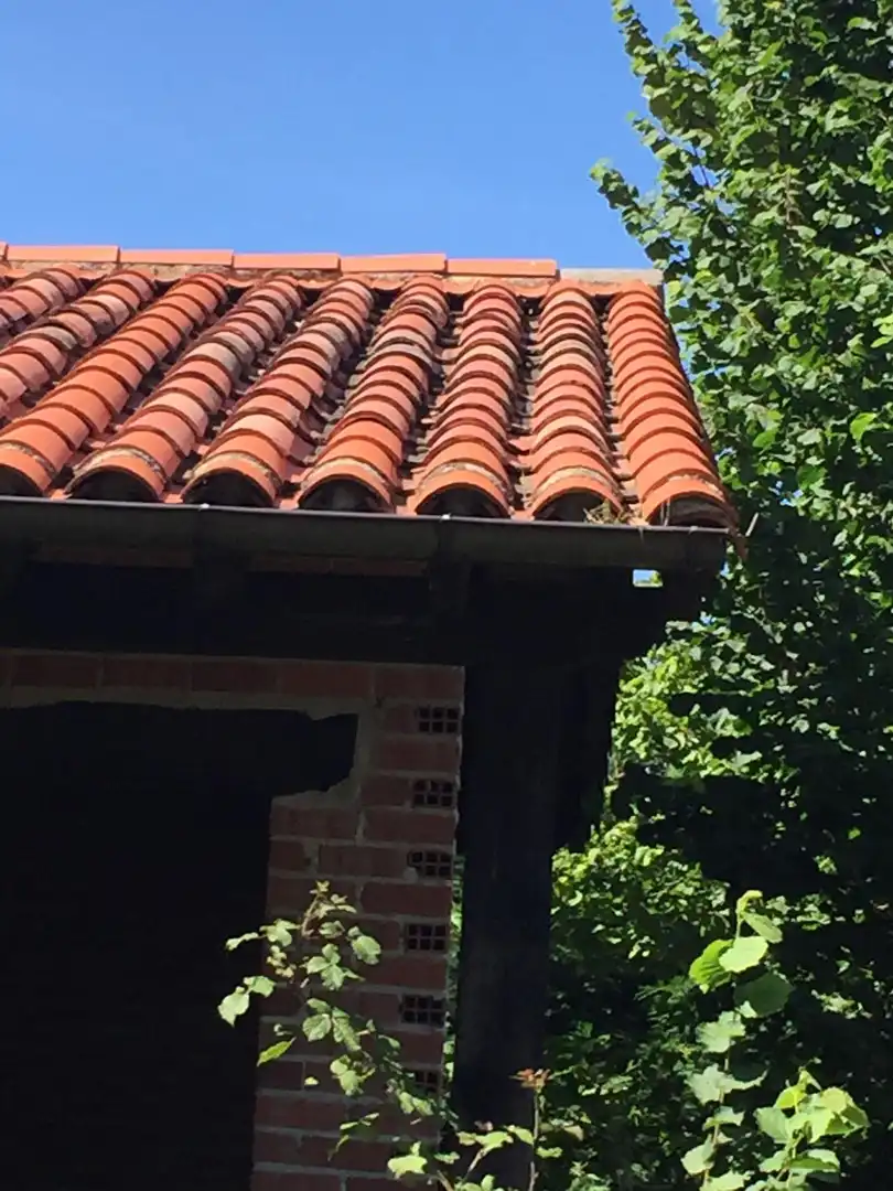 Exterior view of Houses for sale in Ruente