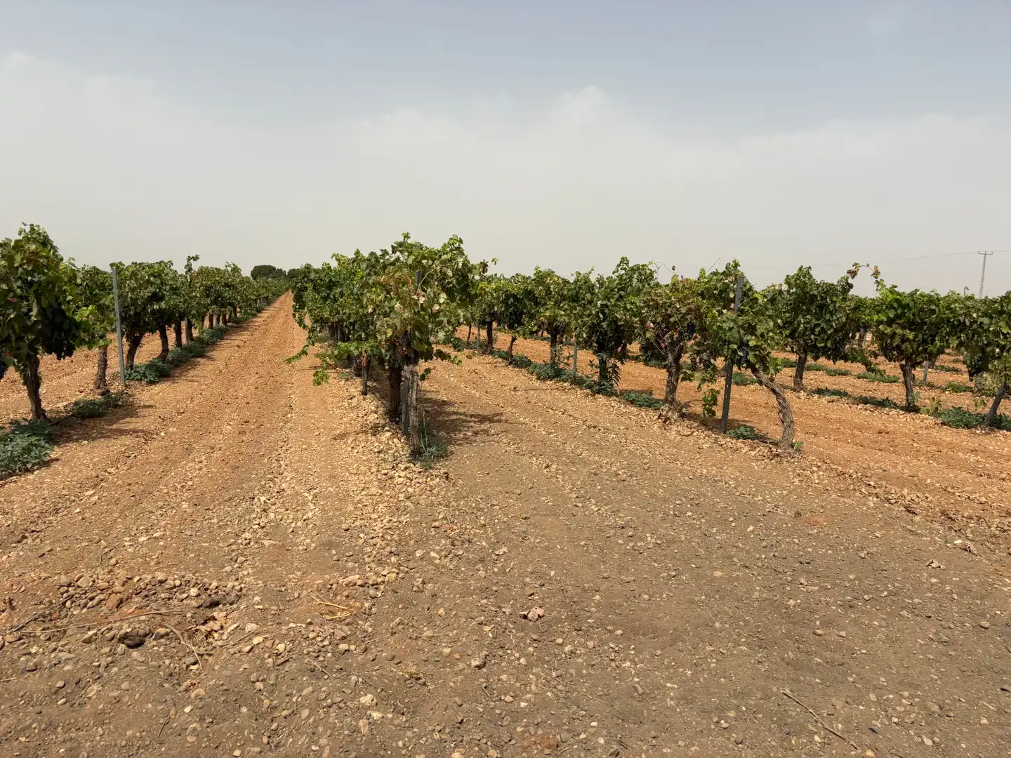 Terreno rustico in vendita a N/A, imagen 10