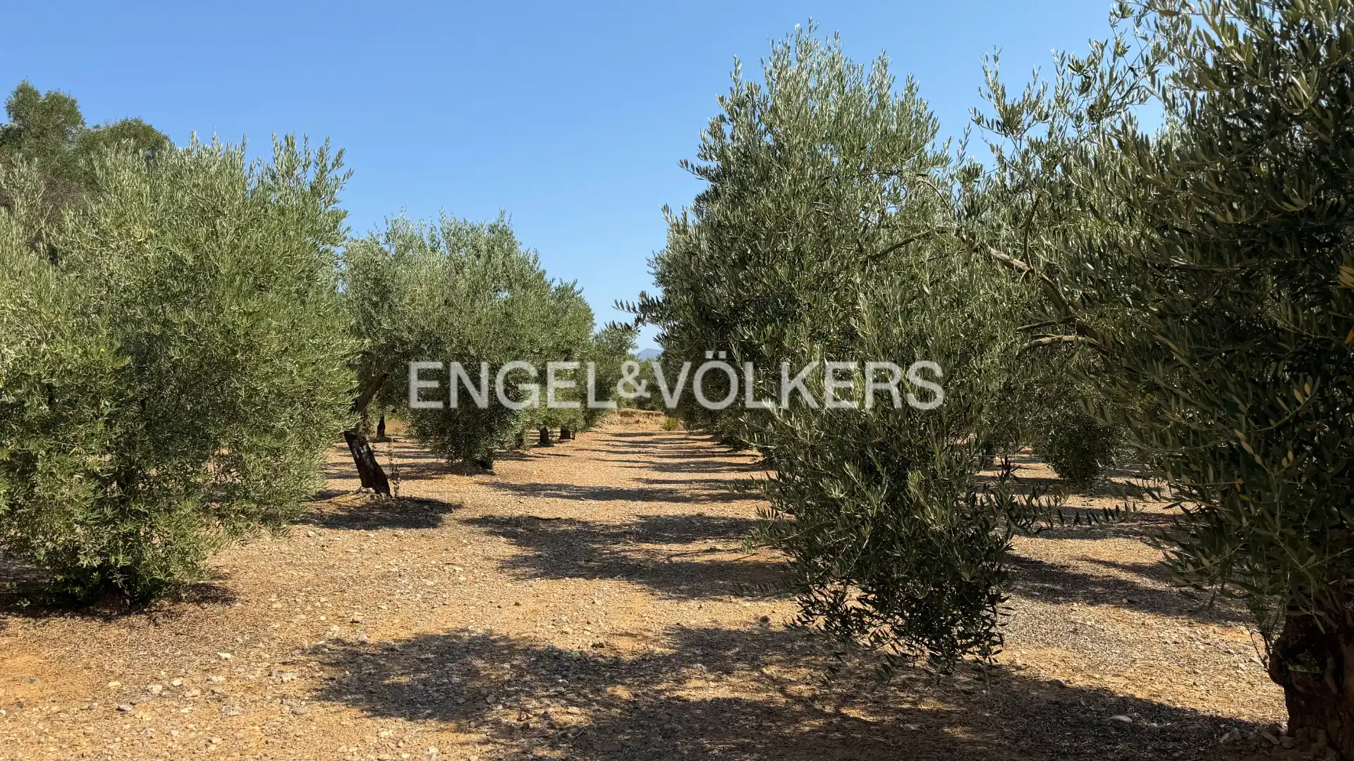 Land for sale in Pedret i Marzà