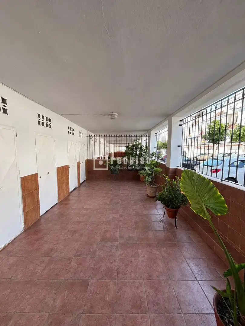 Vista exterior de Piso en venta en Mairena del Aljarafe con Aire acondicionado