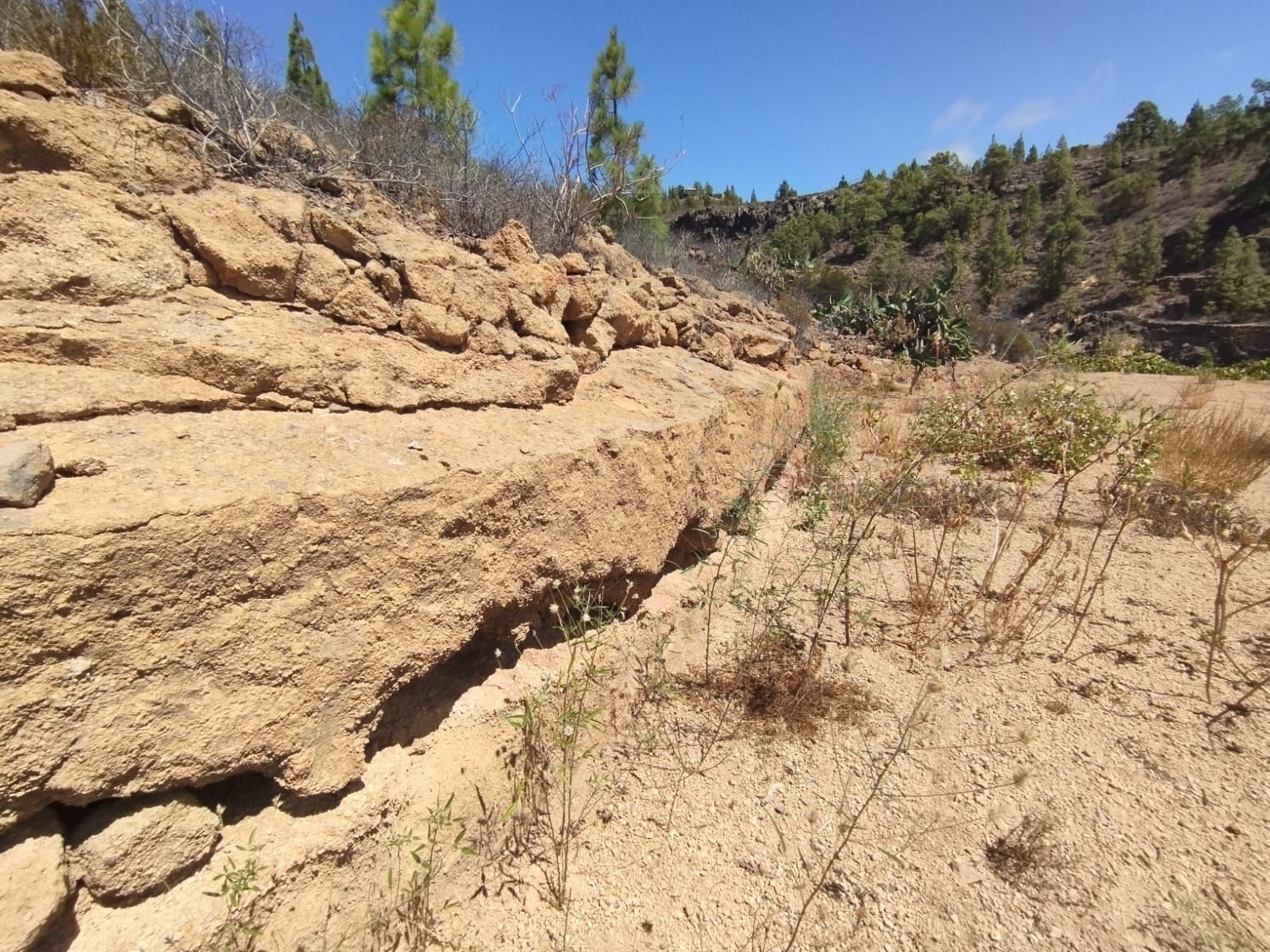 Vista exterior de Residencial en venda en Granadilla de Abona