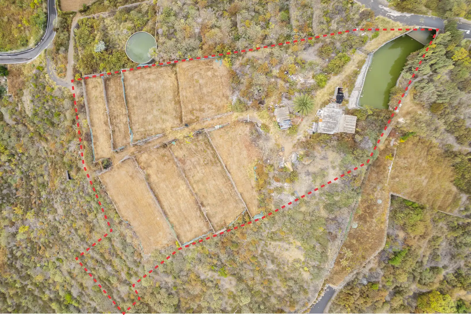 Land for sale in La Guancha