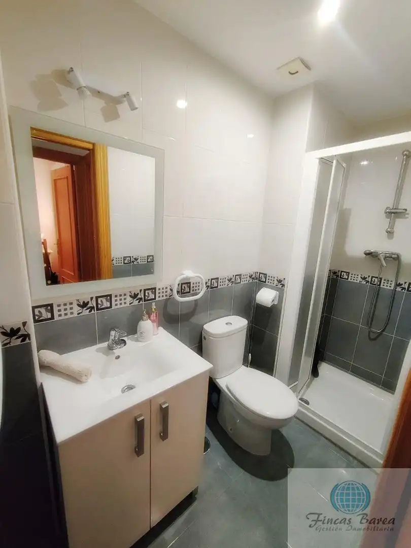 Bathroom of Flat for sale in Las Lagunas