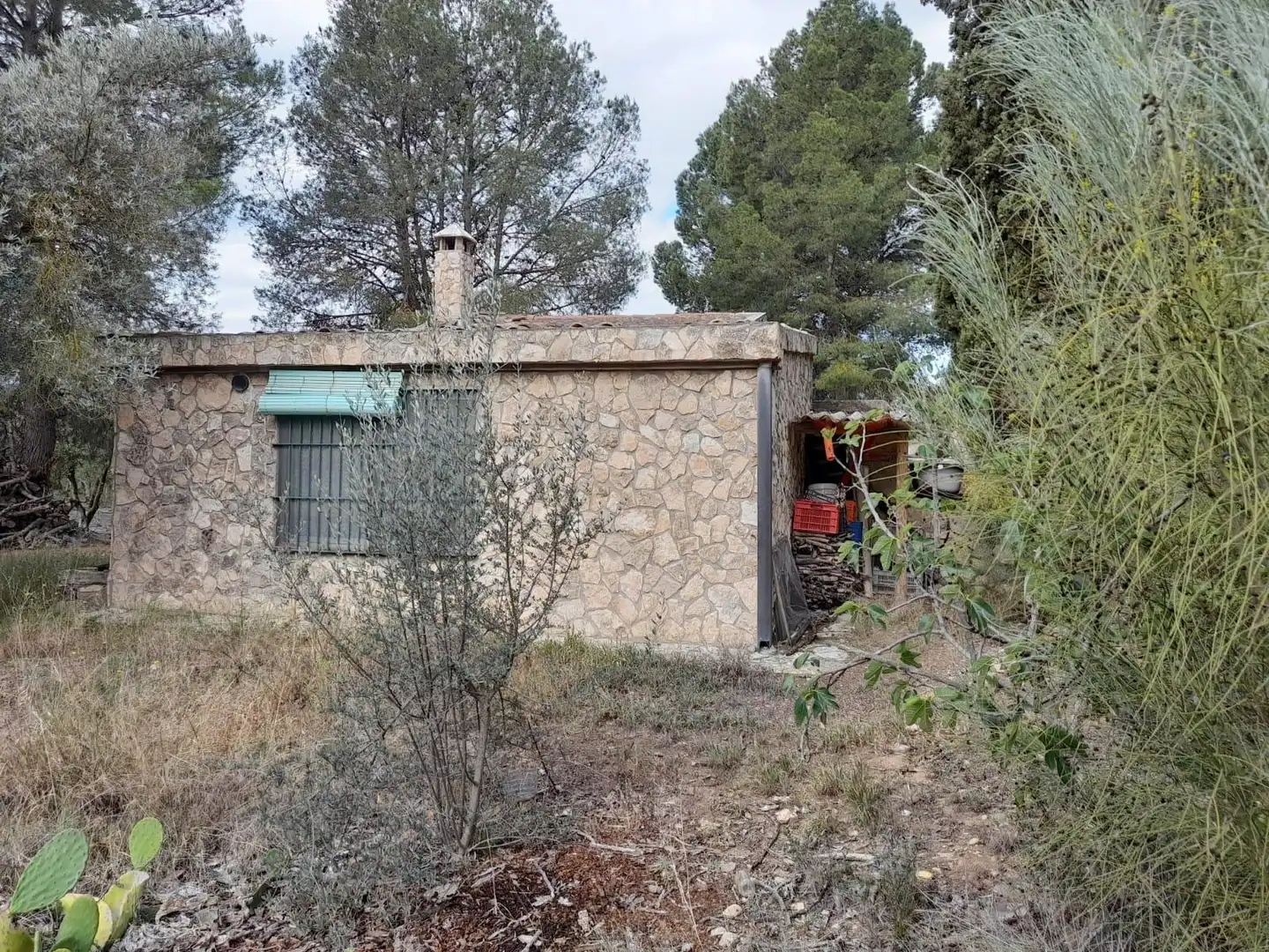 Terreno rústico en venta en Ascó, imagen 9