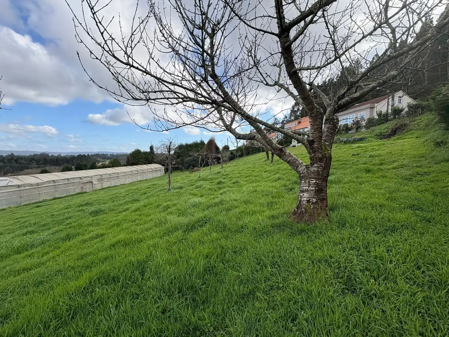 Rural land for sale in DP-3602, imagen 6