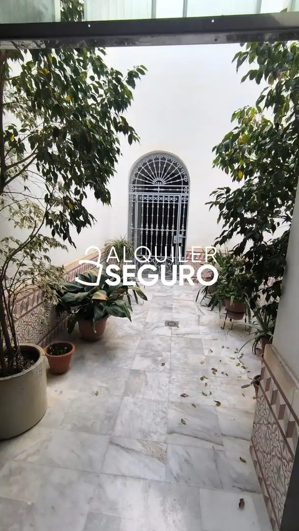 Jardín de Piso de alquiler en Sevilla con Aire acondicionado y Amueblado