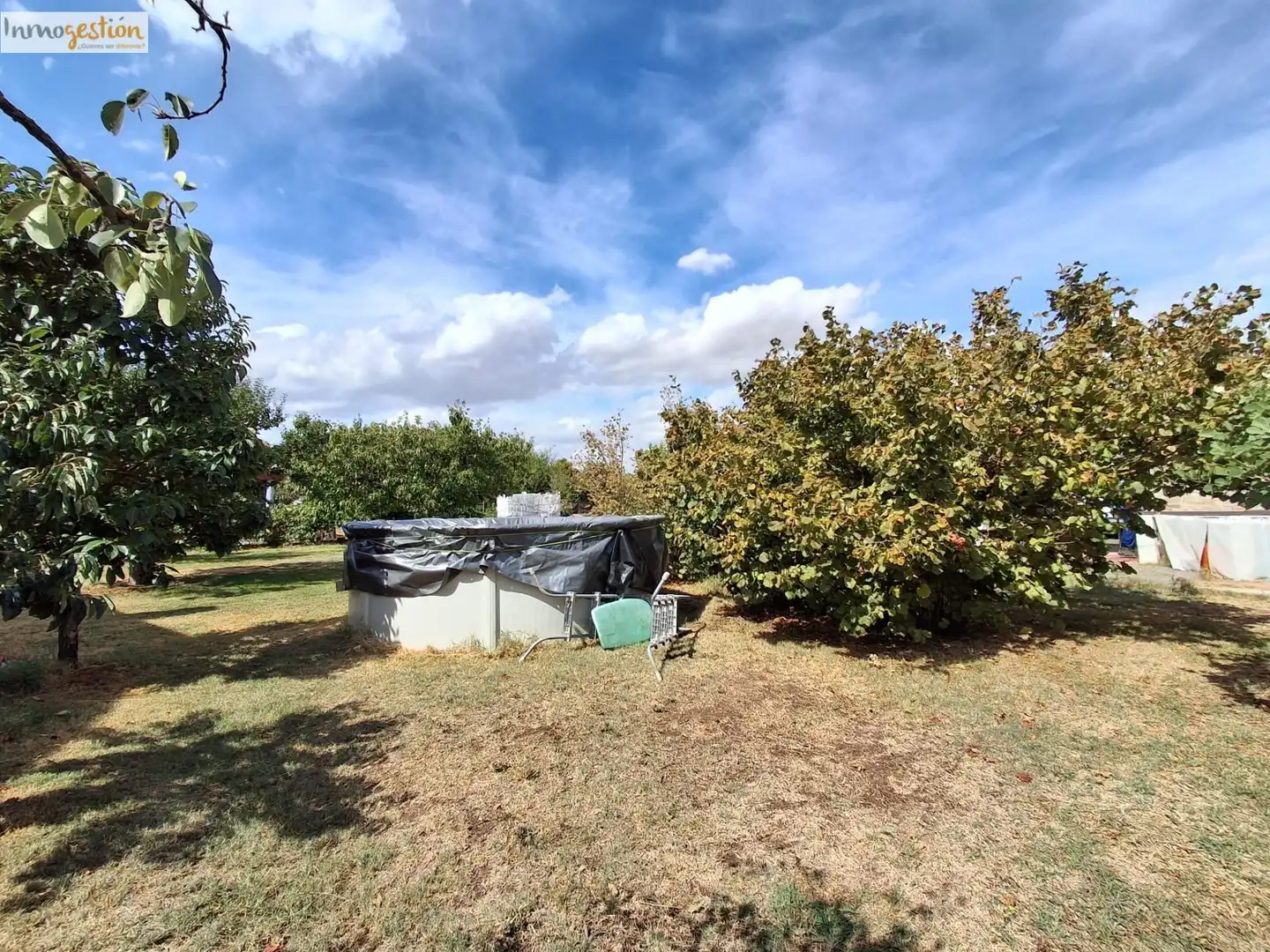Terreno rustico in vendita a Tudela de Duero, imagen 15